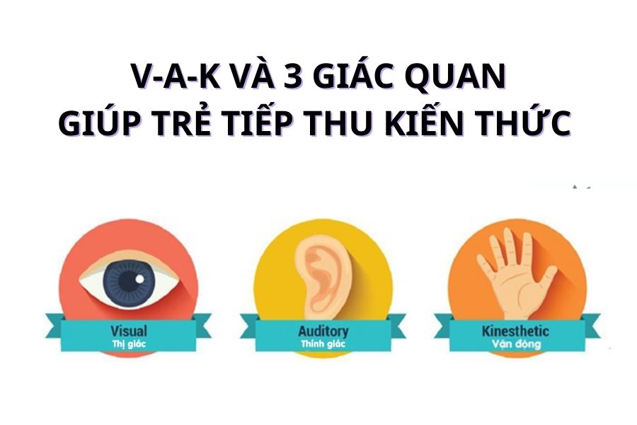 VAKAd là gì và ứng dụng như thế nào Mẫu test nhanh  Coach Thu Ngô