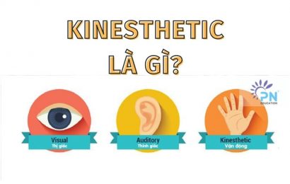 kinesthetic-la-gi-phuong-nam-group